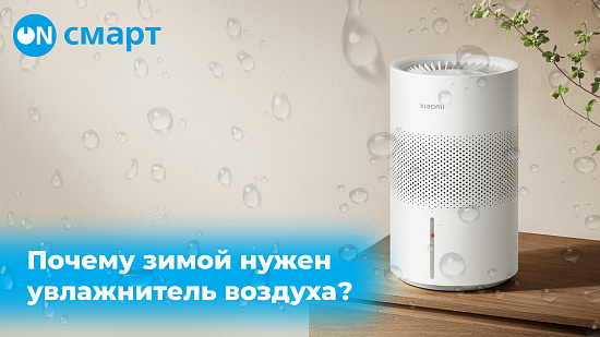 Почему зимой необходимо использовать увлажнитель воздуха
